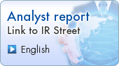 Analist report